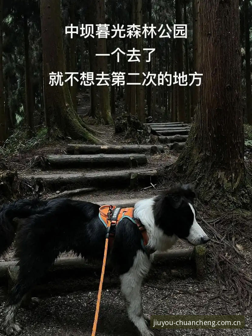 九游AUB8赛事数据下载失败的完整自救方案——从入门到摆烂的6种思考
